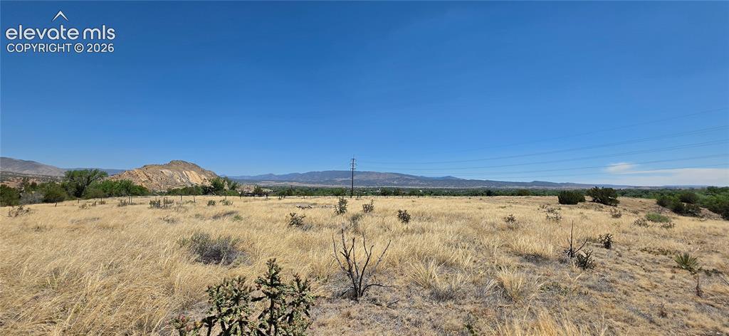 Image 3: Expansive open land featuring diverse desert flora, including various cacti and dry grasses
