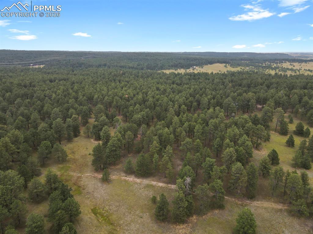 Image 4: Aerial View