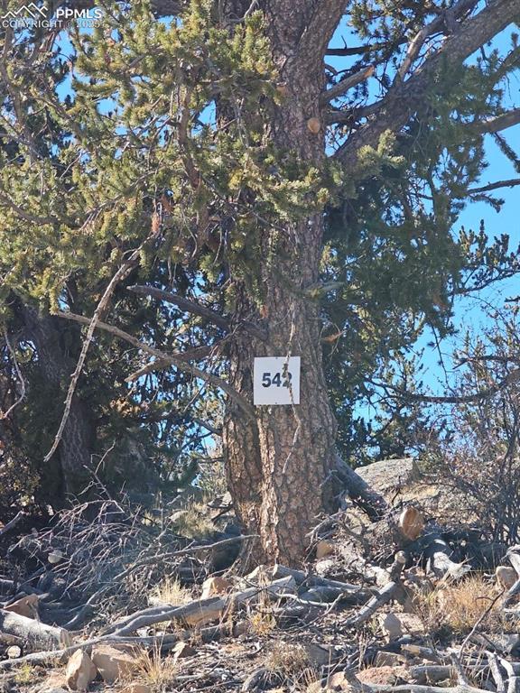 Image 3: You are home!