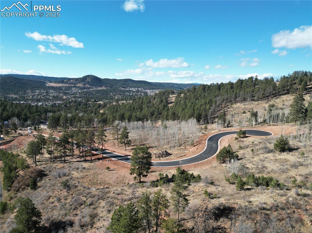 Image 4: Aerial View