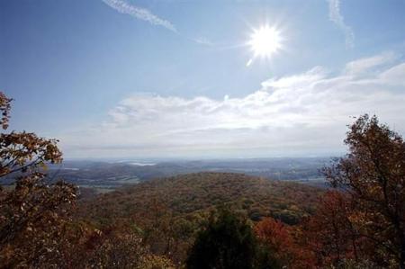 1180 Black Bear Trail