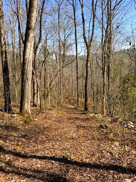 Image 3: Ellis Creek Driveway