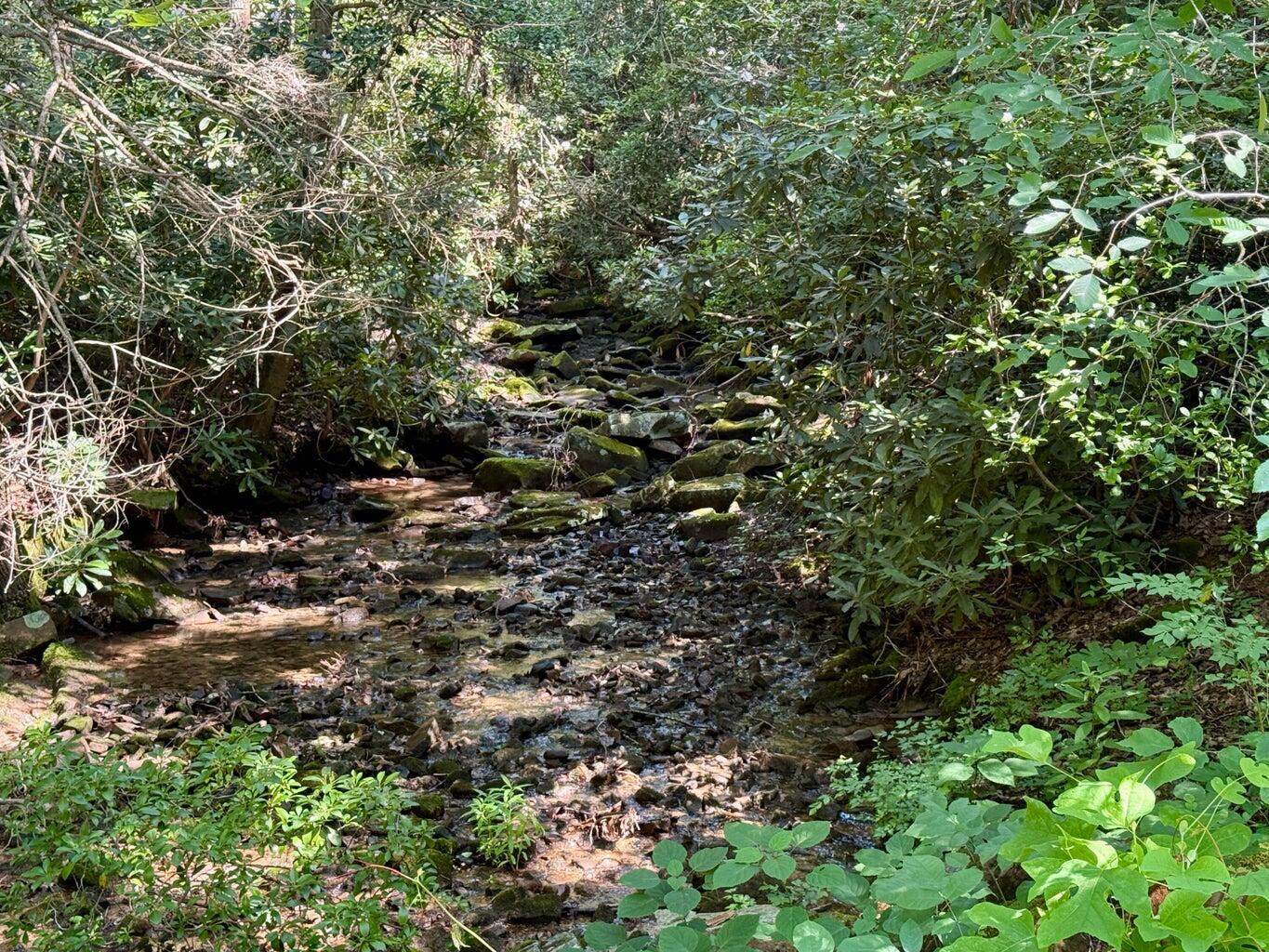 Image 4: 15