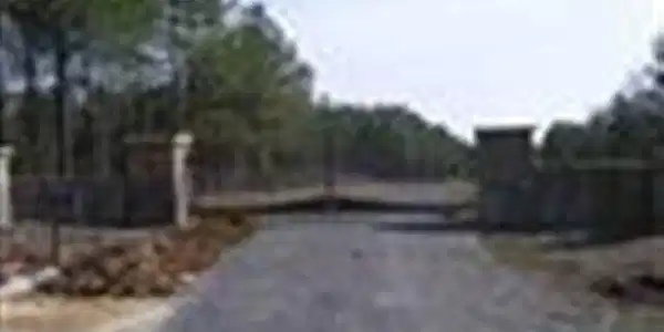 Image 2: Gannaway1