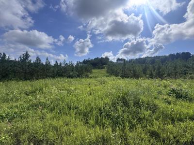 Lot 41 Three Point Road