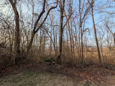 000 Pine Breeze Circle