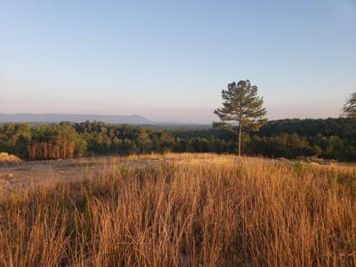127 County Road 965