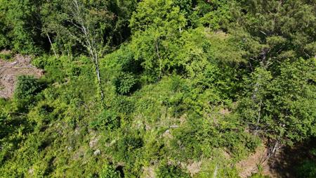 Lot 5 Lamontville Road