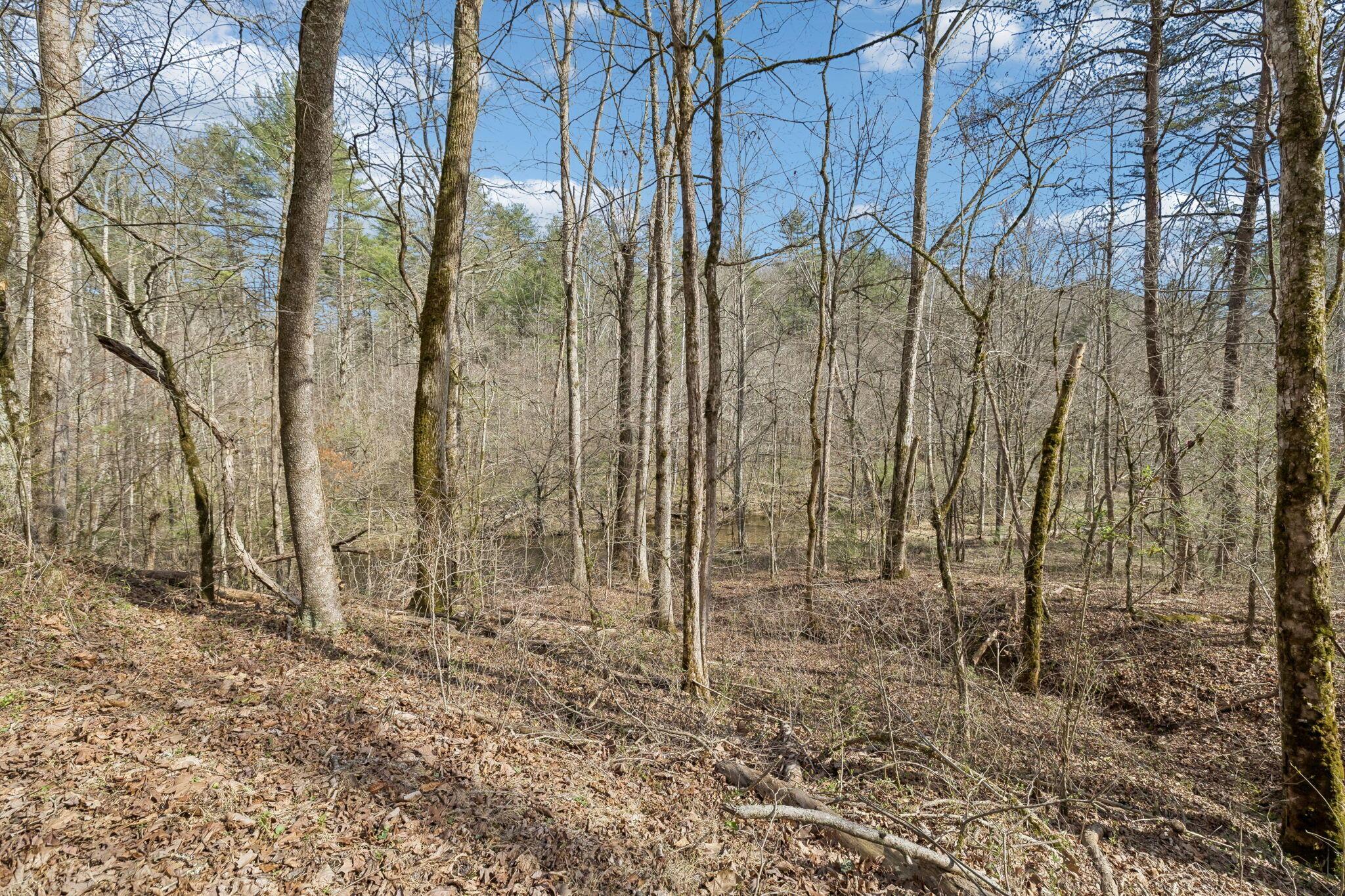 Image 2: 5-1489 Towee Pike Reliance - 005