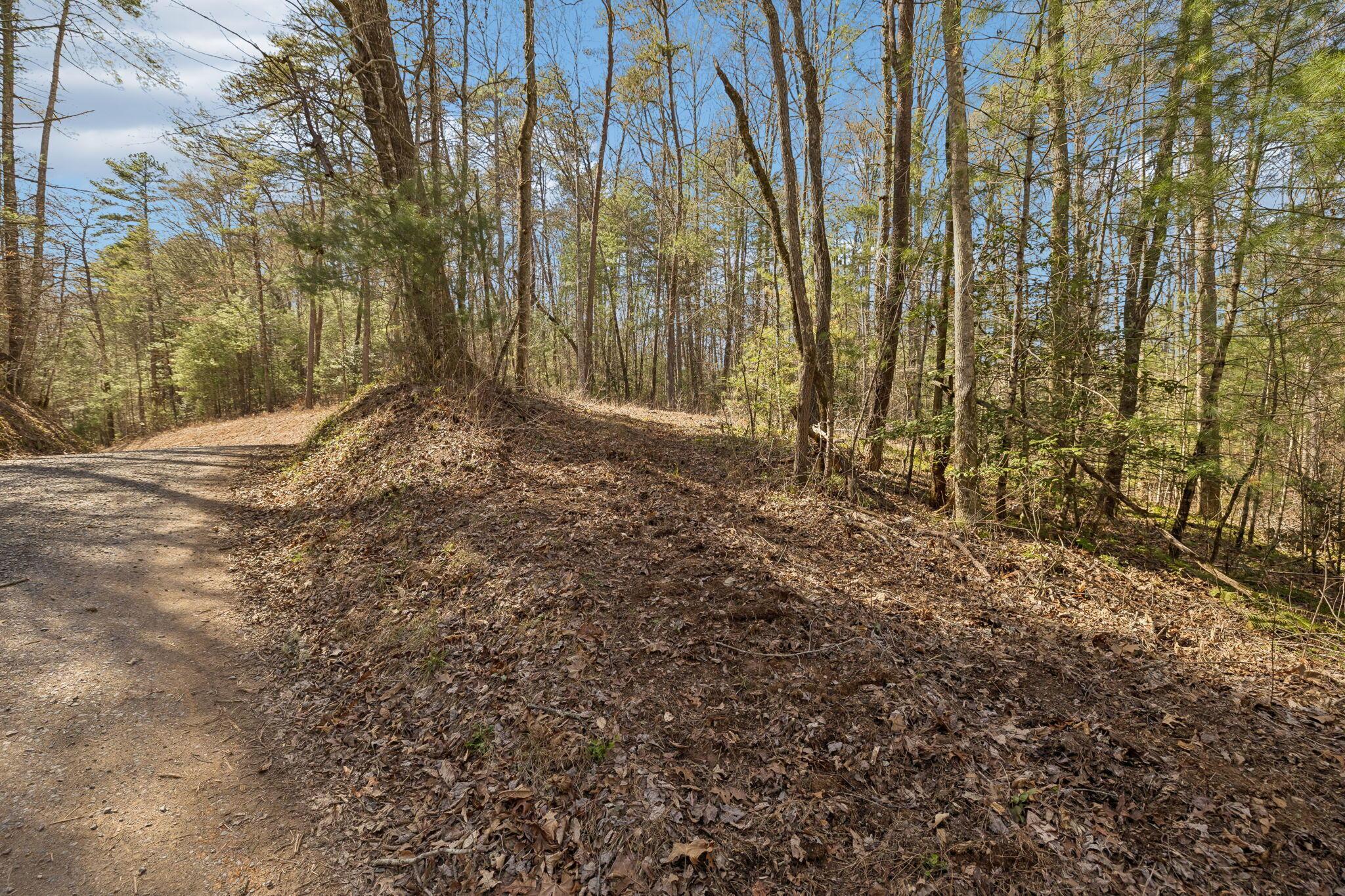 Image 3: 1-1489 Towee Pike Reliance - 001