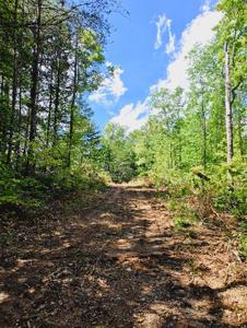 163 Megan Trace Lane