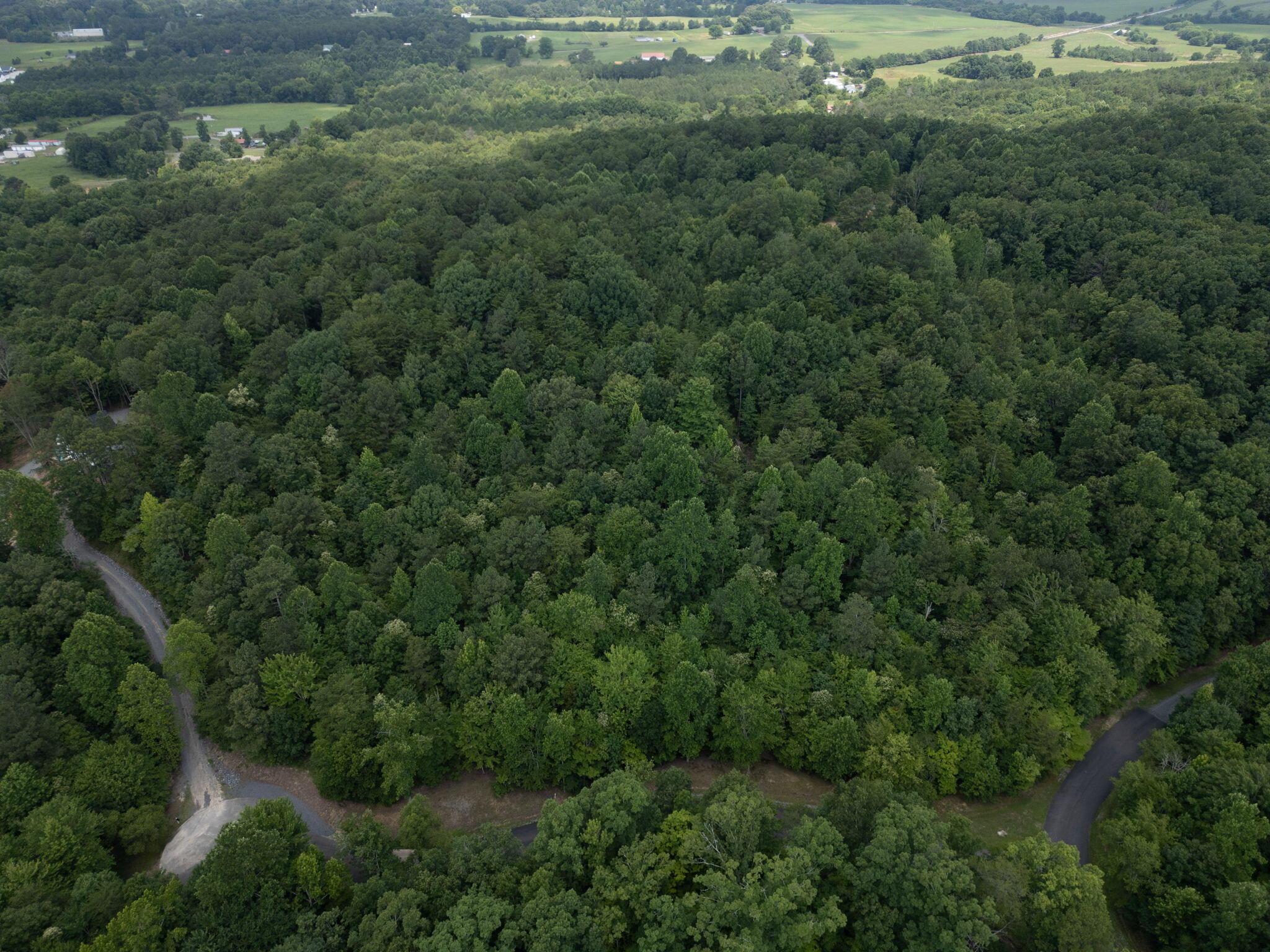 Image 4: 2-web-or-mls-Dogwood Hollow Lane-Dustin