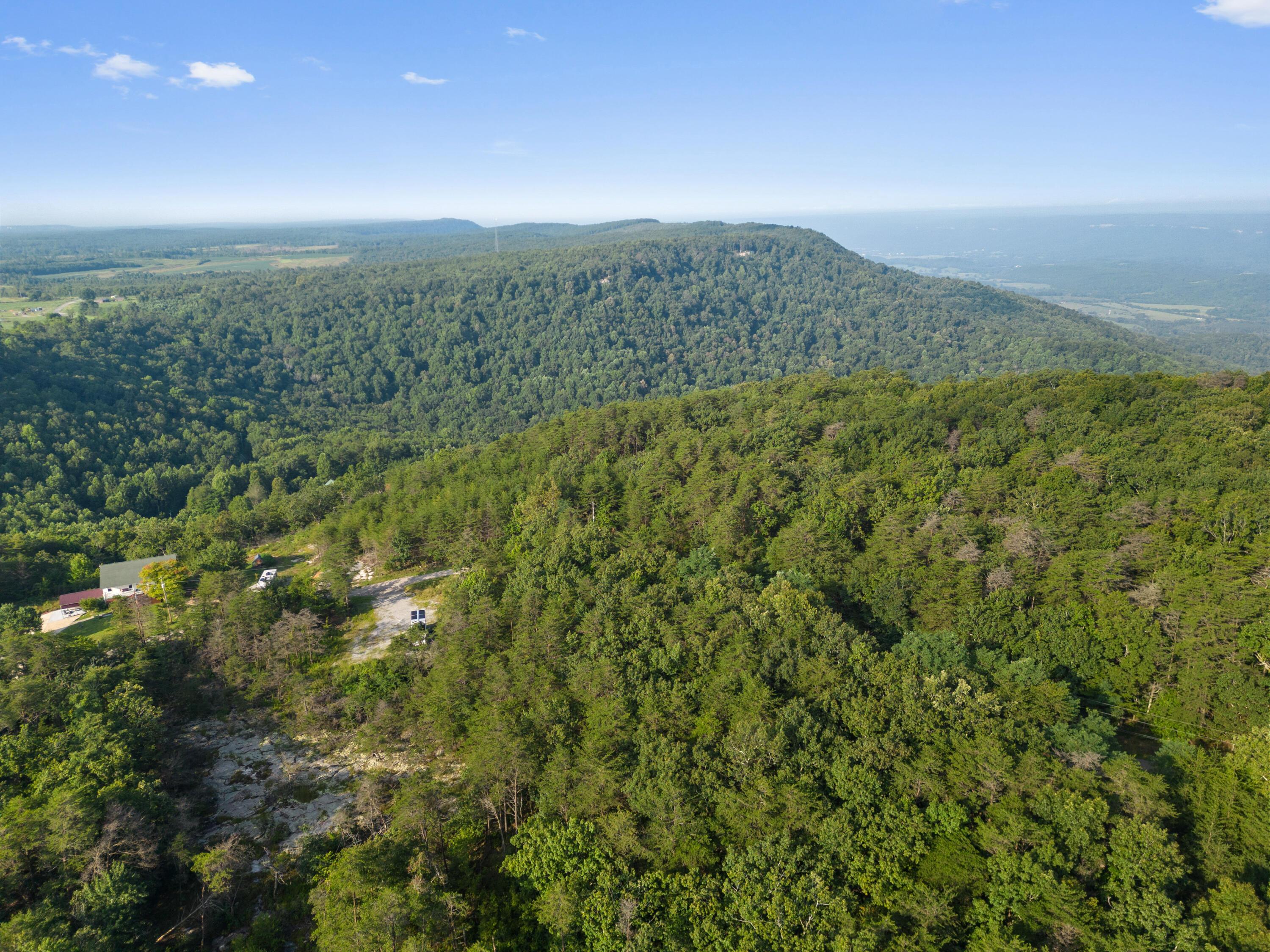 Image 2: Green Dr-Bryson Dalton-49