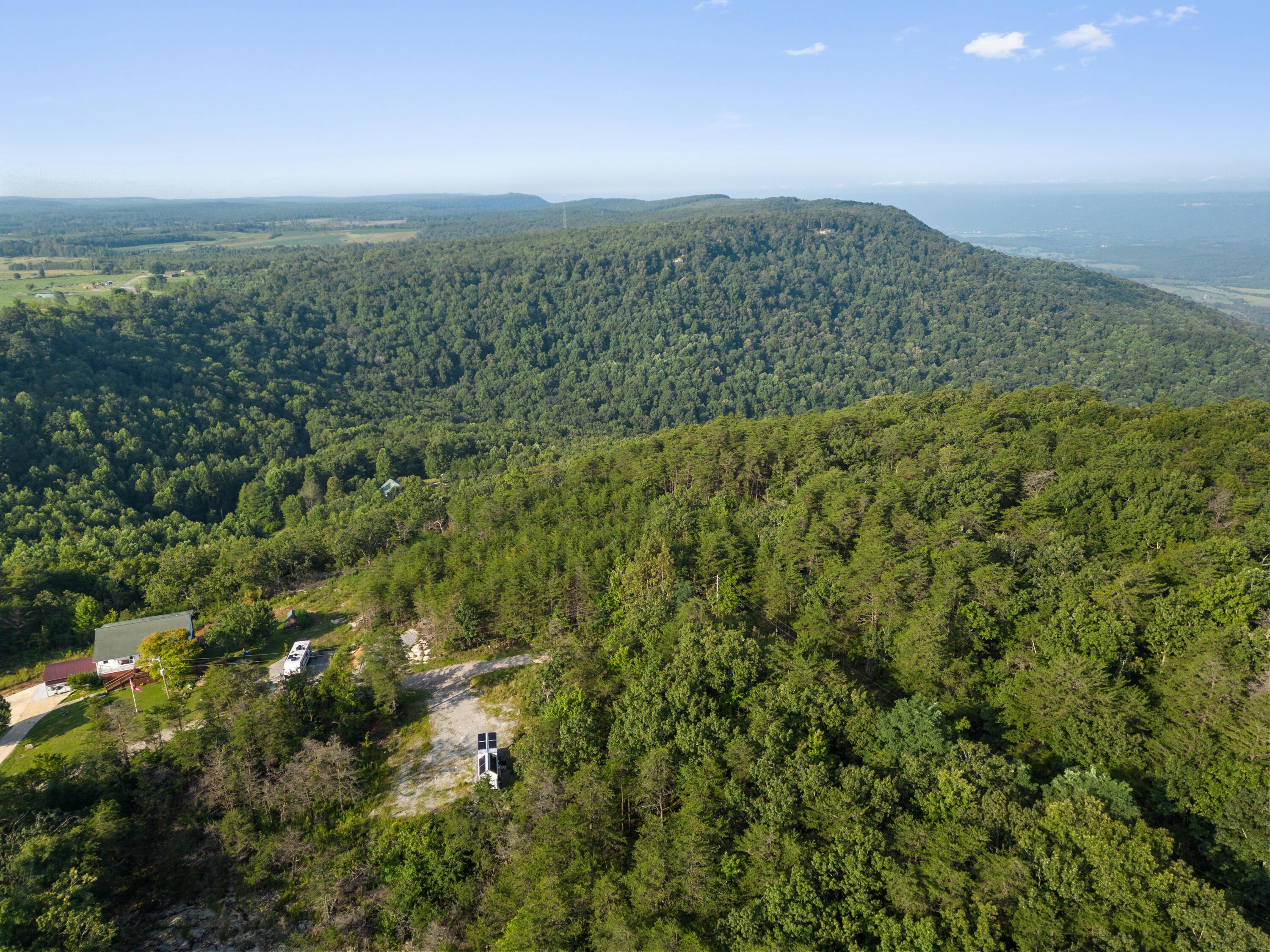 Image 3: Green Dr-Bryson Dalton-50