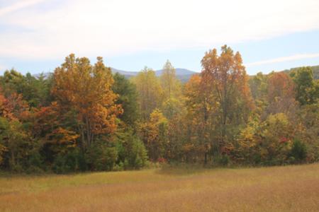 29 Acres Ballplay Rd.