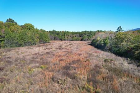 1379 Sand Mountain Road