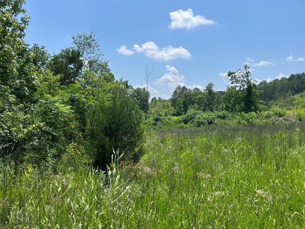Image 3: Photo 3