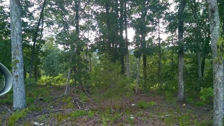 Lot104/105 Peach Orchard Hill Road NE