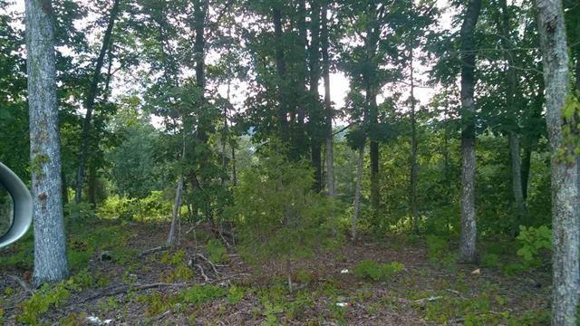 Image 1: Main View