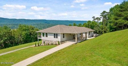 203 Meadow Green Lane