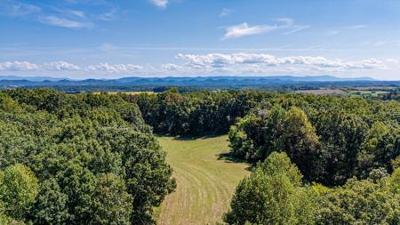 348 County Road 405 _ 49.9 Acres