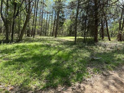 0 White Pine Rd Off Road