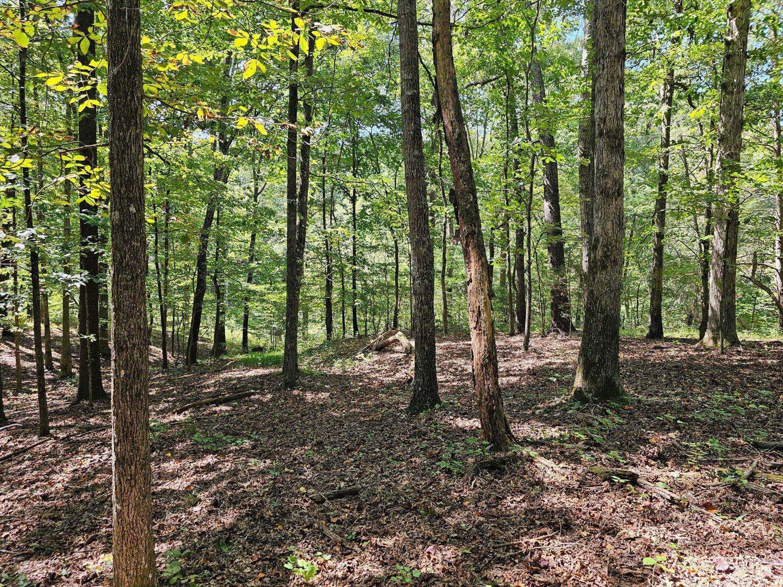 Image 3: 16-348 Co Rd 405-16