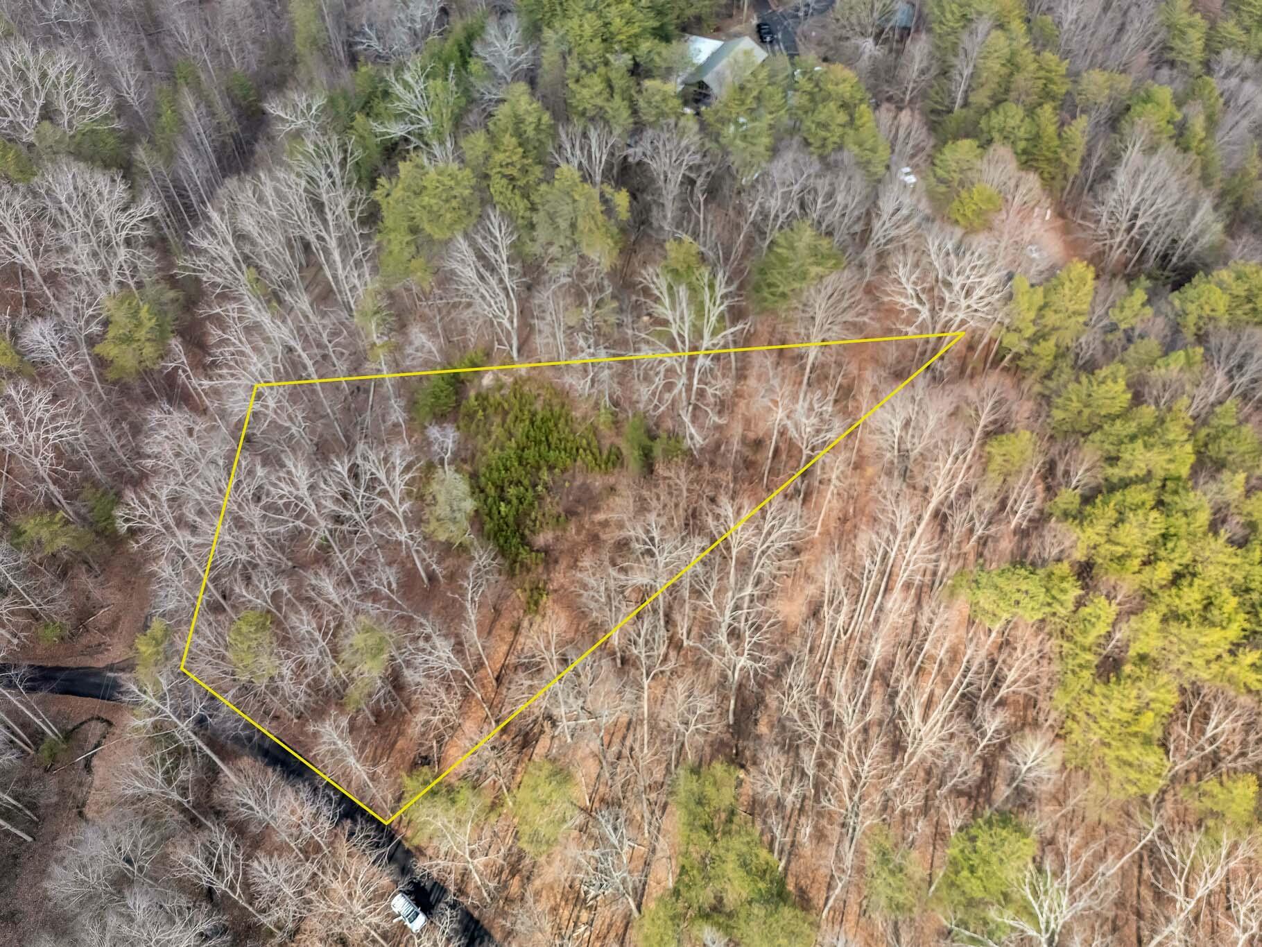 Image 1: DJI_20260220035802_0026_D-Edit