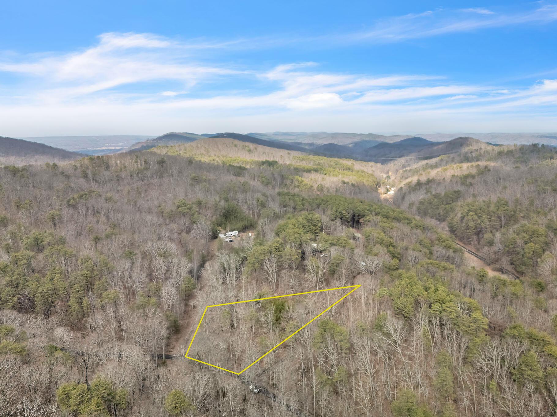 Image 3: DJI_20260220040040_0047_D-Edit