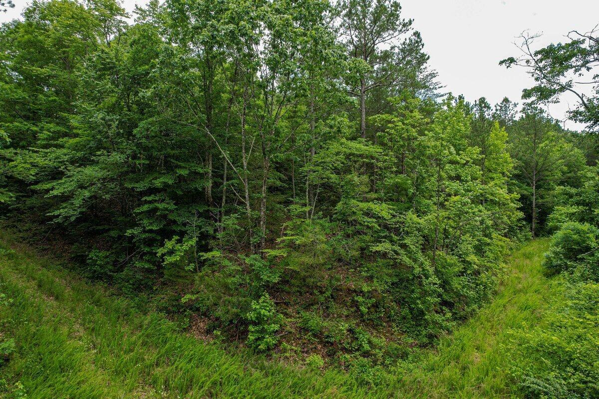 Image 3: 92 County Road-3