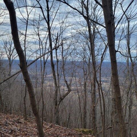 Image 1: 1