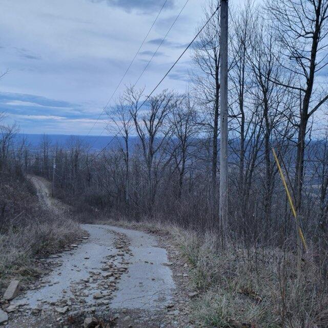 Image 2: 2