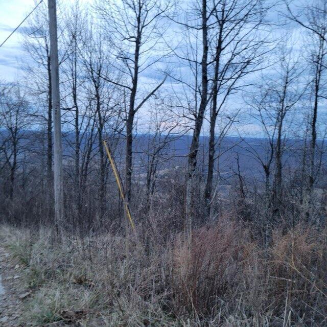 Image 4: 4