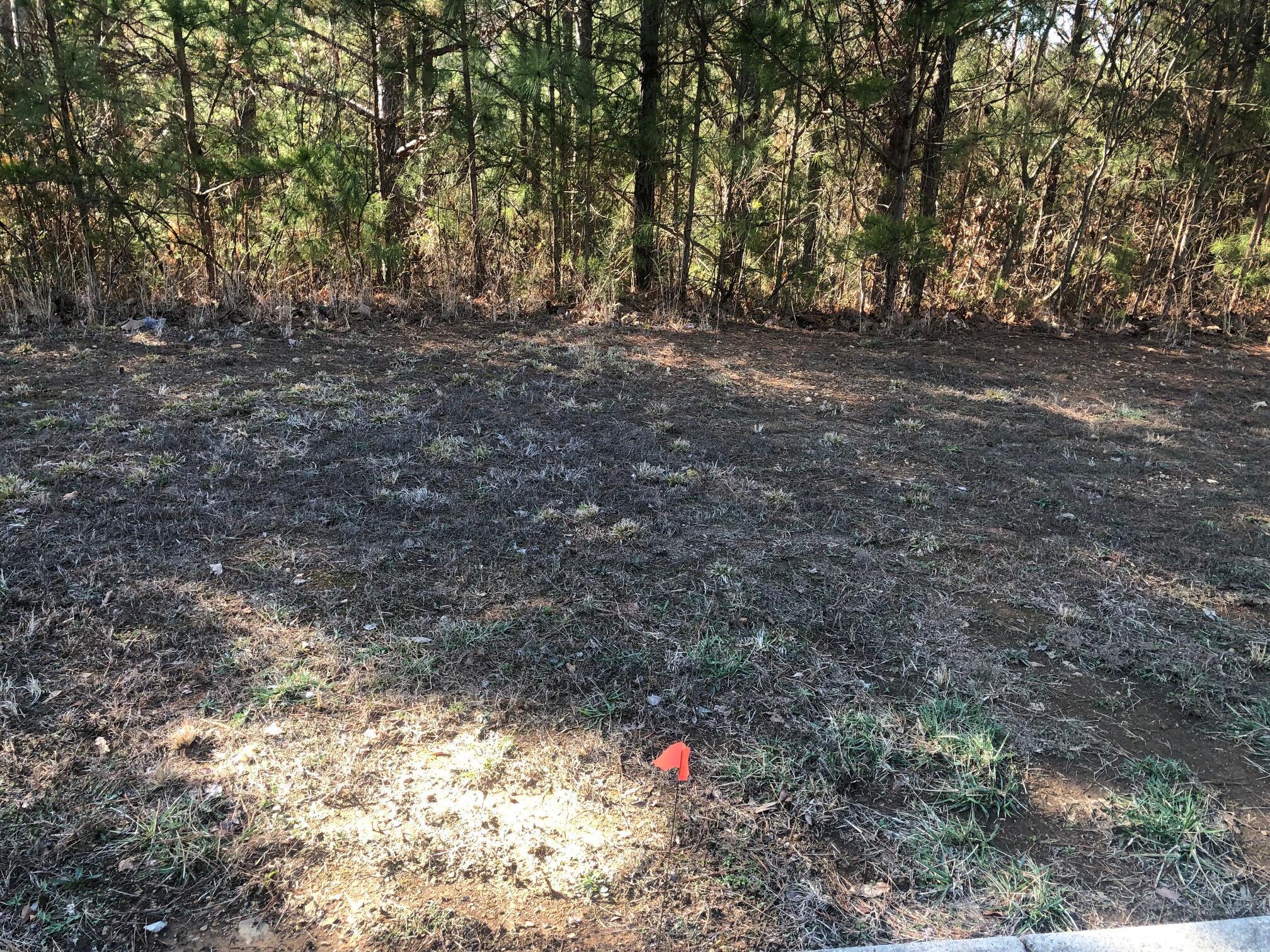Image 3: 147 Cherokee Ridge - Lot view