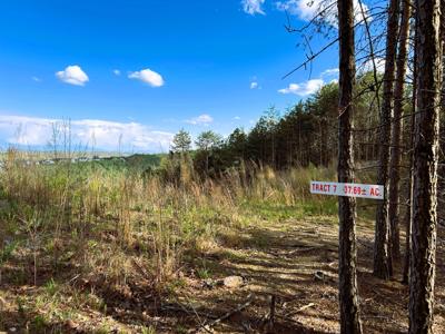 Tract 7 SW Owl Hollow Rd
