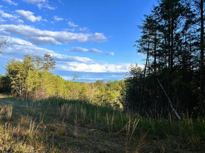 Tract 2 SW Owl Hollow Rd