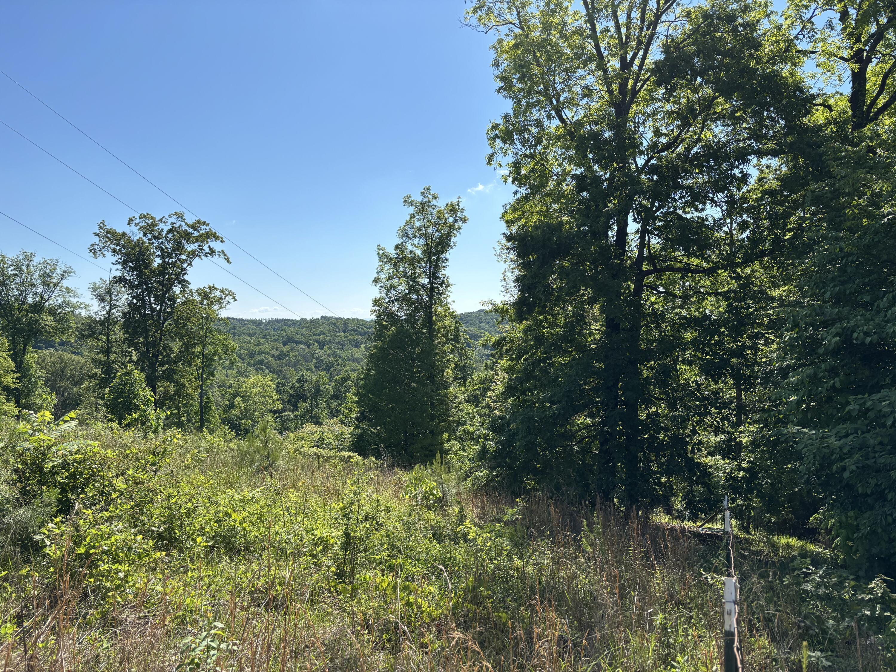 Image 1: Land