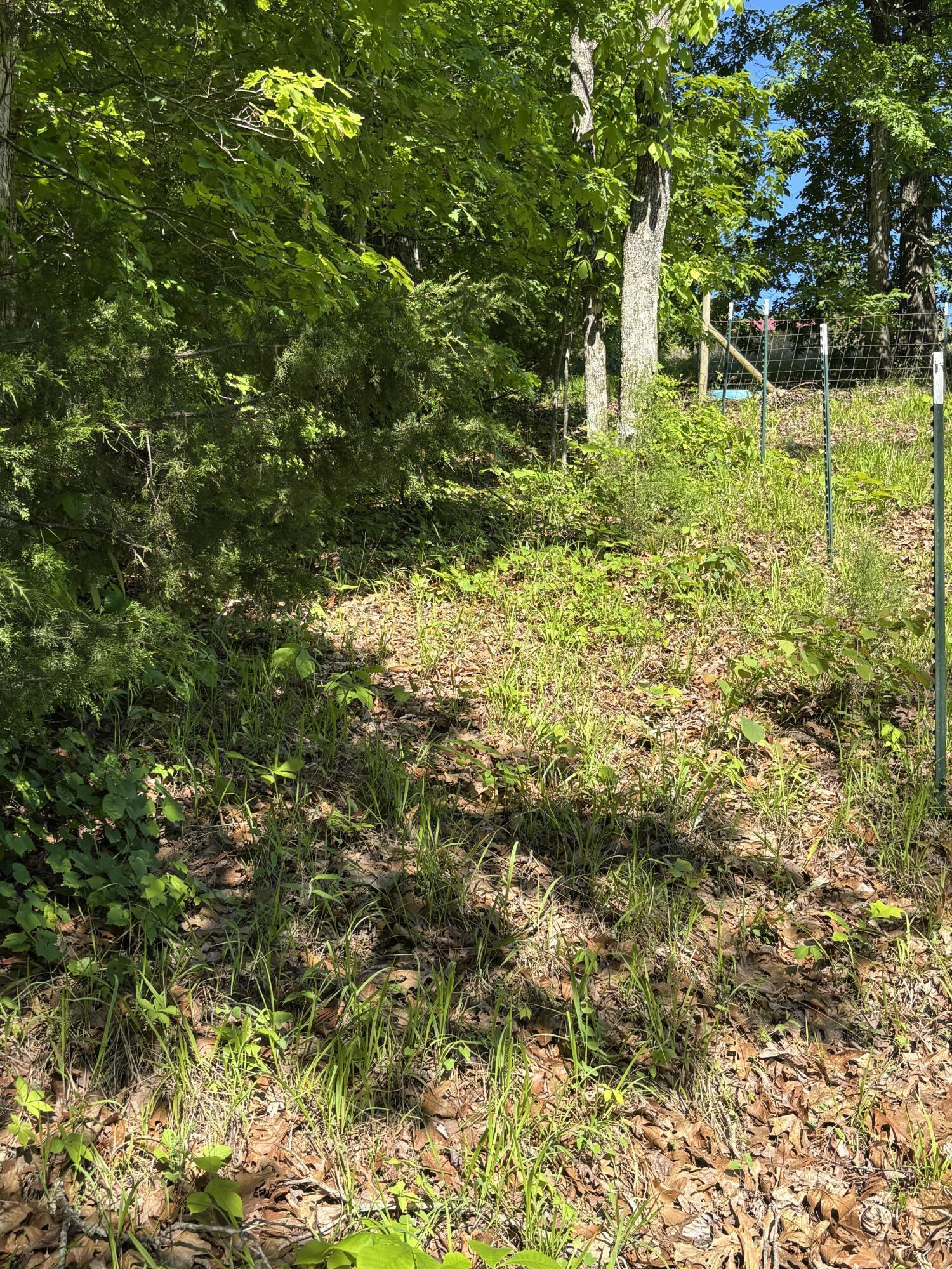 Image 2: 2
