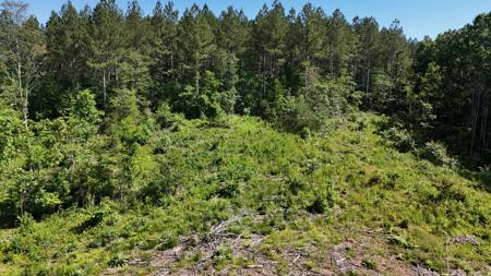 Lot 4 Lamontville Road