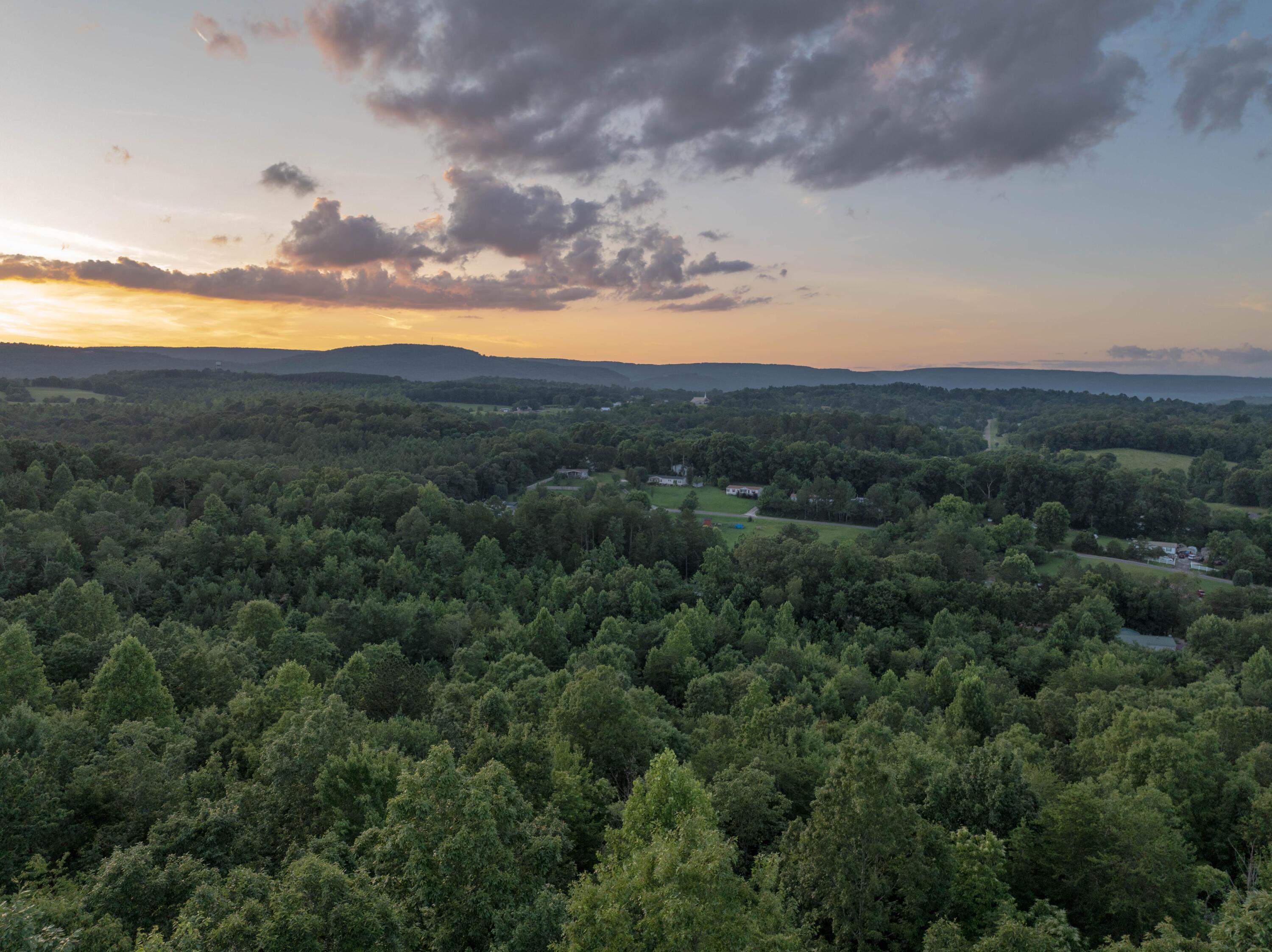 Image 2: 20250620200218_0022_D