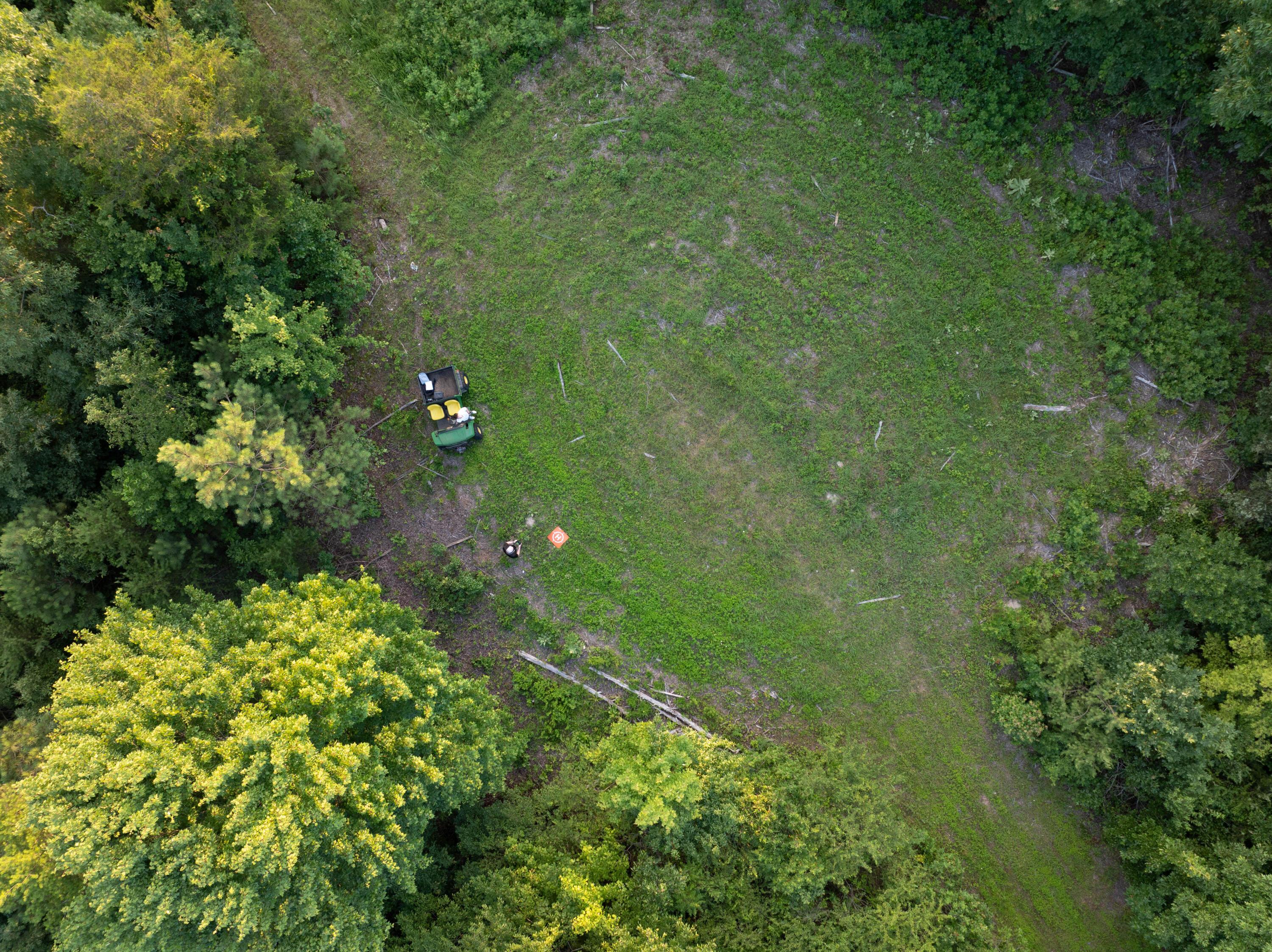 Image 3: 20250620193516_0010_D