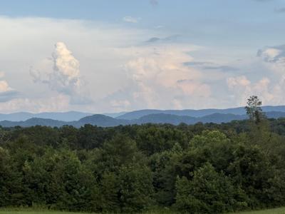 705 County Road 446