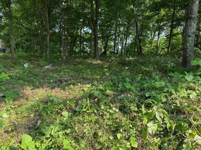0 Black Oak Estates Road