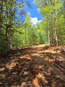 143 Megan Trace Lane