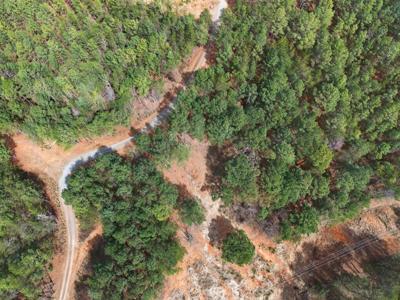 5333 Highway 64, Lot 1