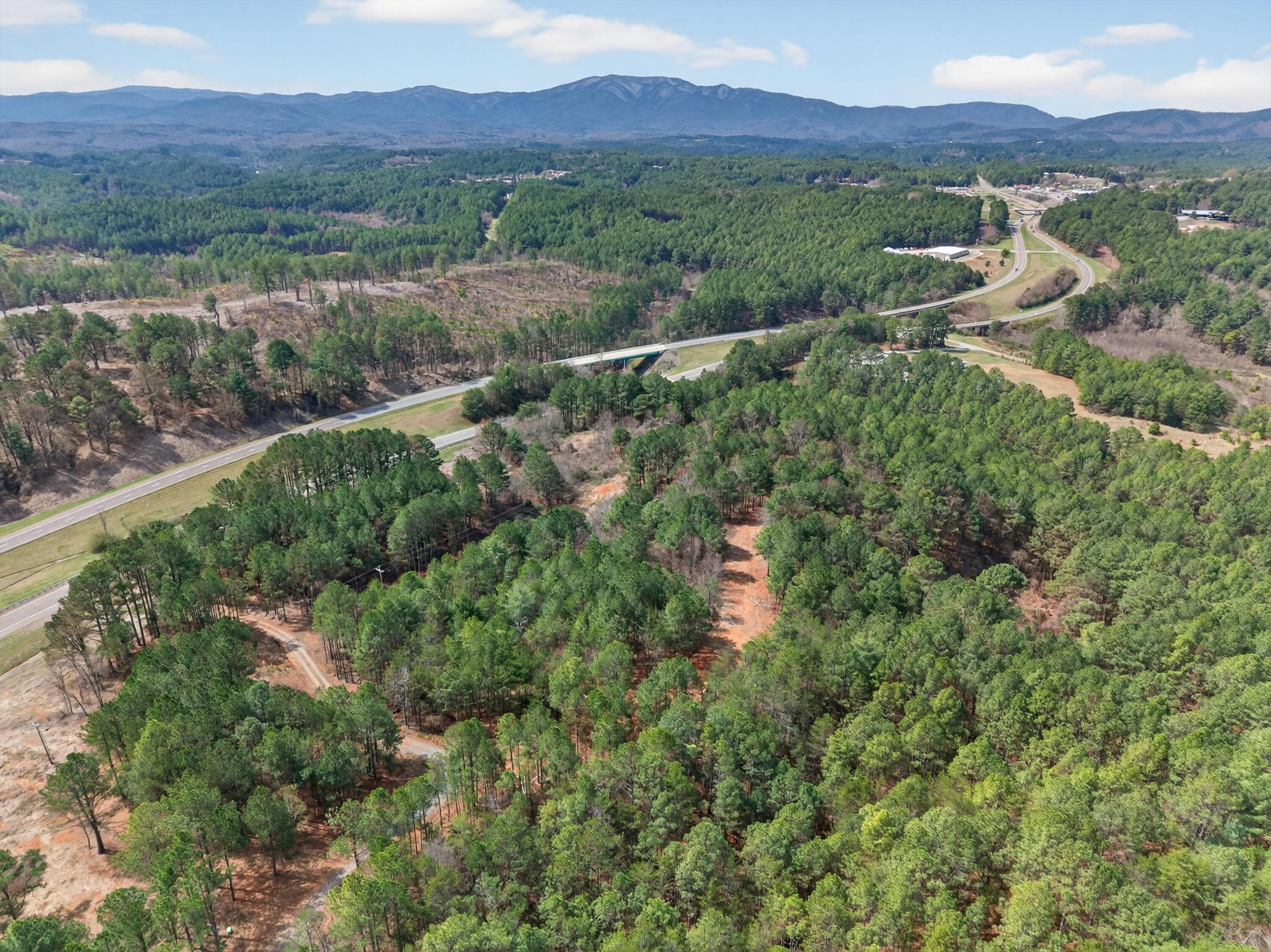 Image 4: 31-DJI_20260318134616_0345_D