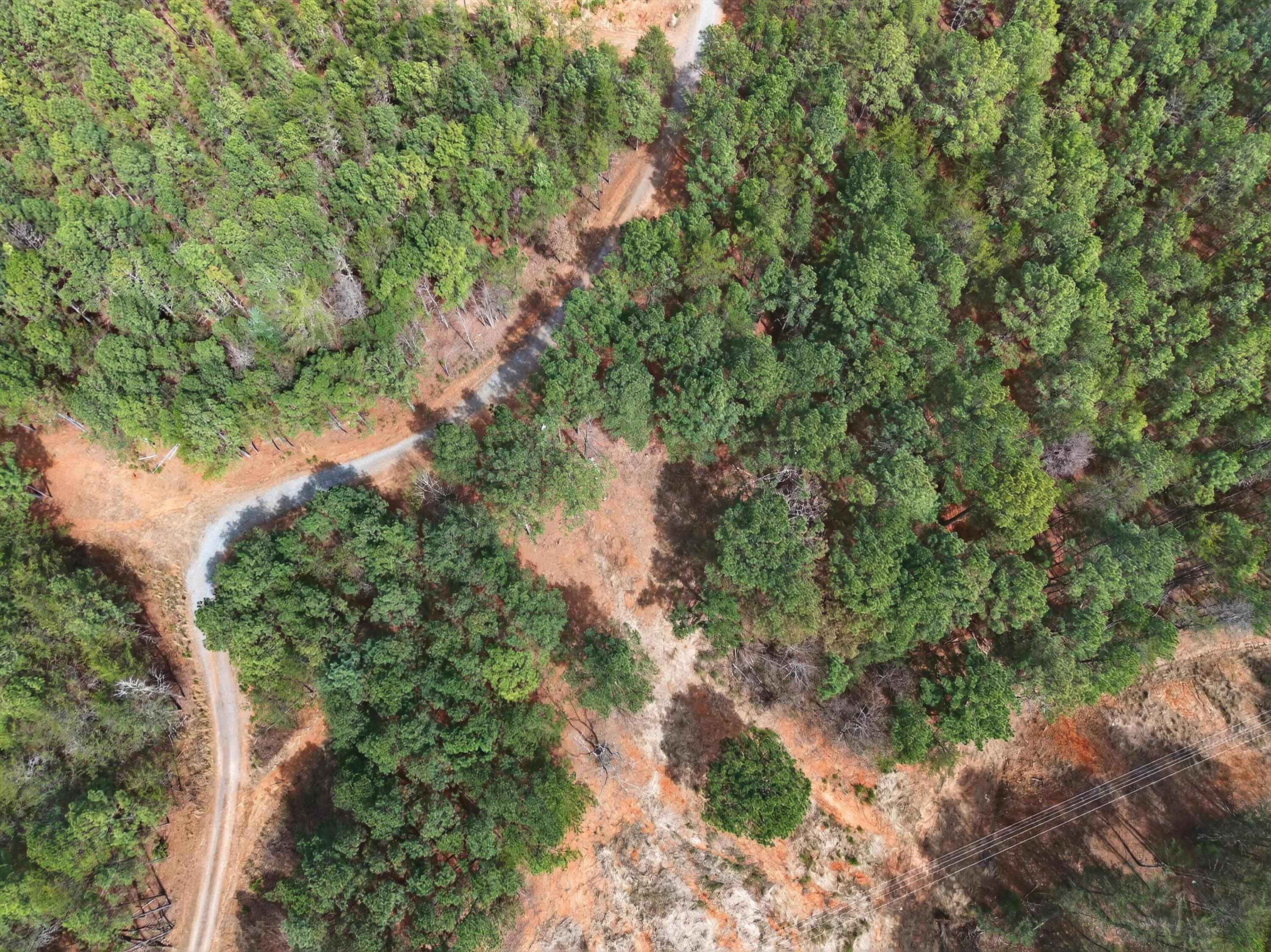 Image 2: 28-DJI_20260318134510_0328_D