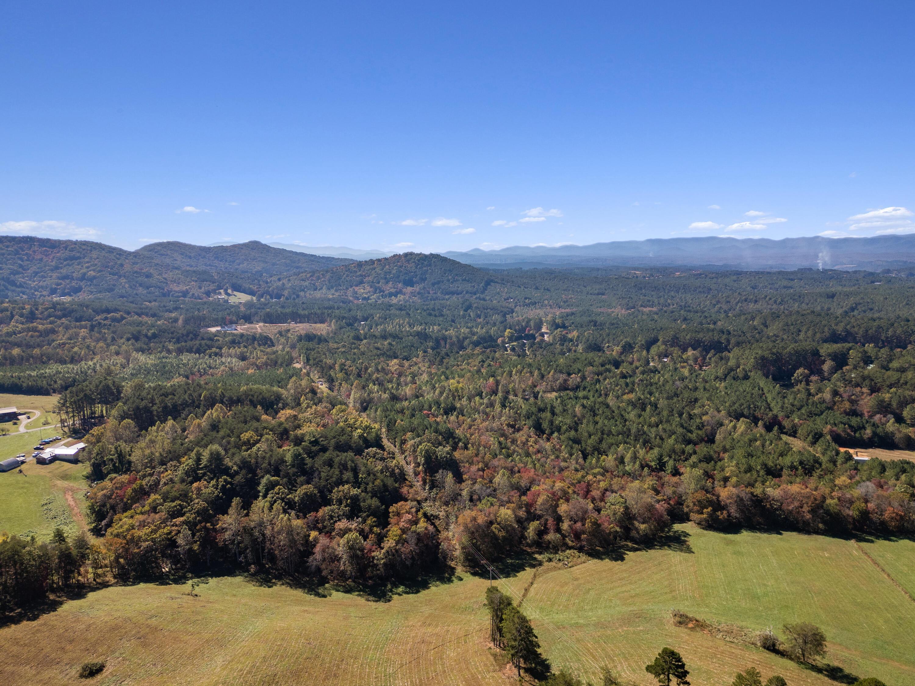 Image 2: DJI_0420