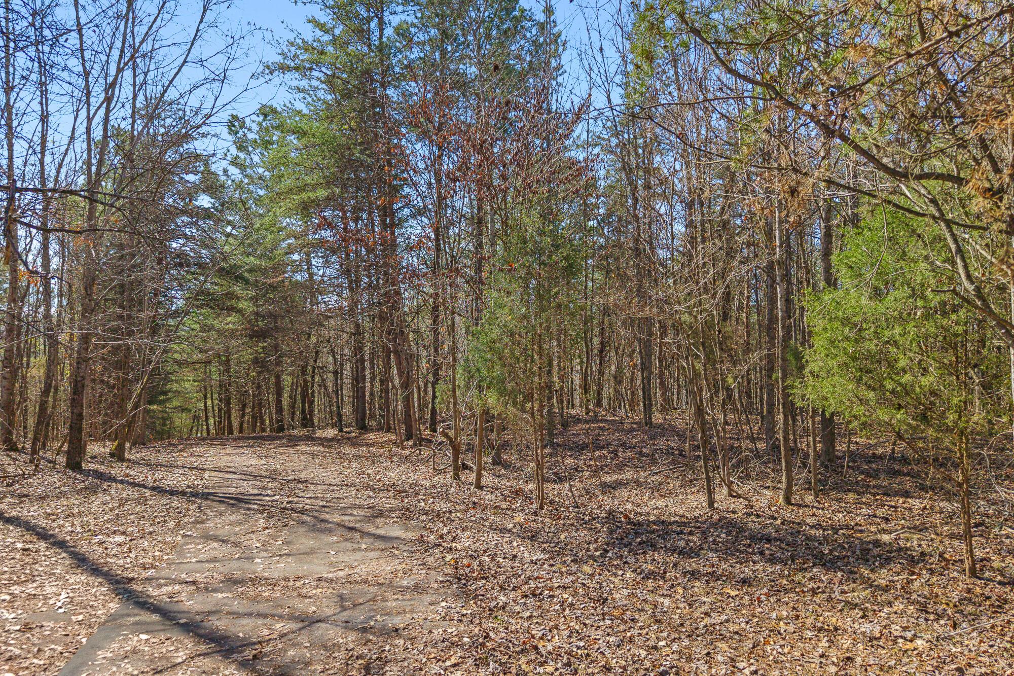 Image 1: Kimberly Ln