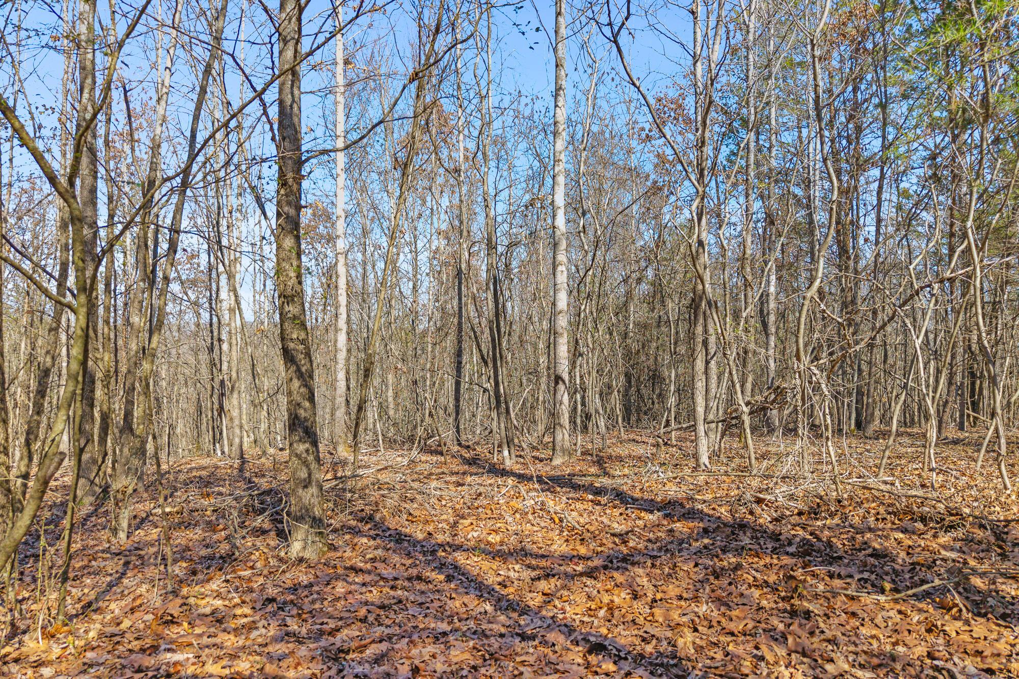Image 2: Front of Land